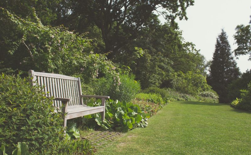 5 Things To Do At Plantation Gardens, Norwich
