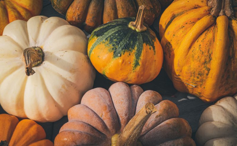 What’s on October – Norwich