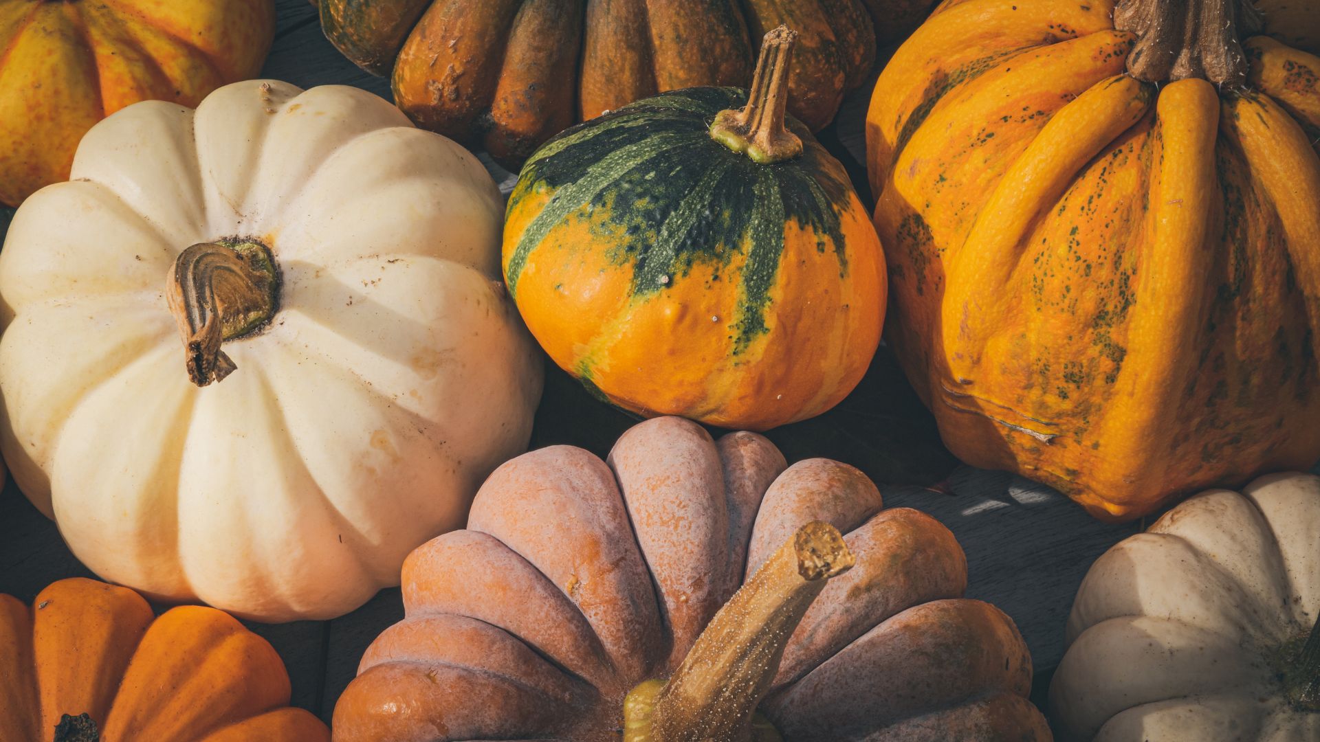 Pile of Pumpkins laid out to make background