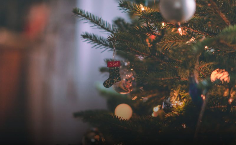 What’s on December – Norwich